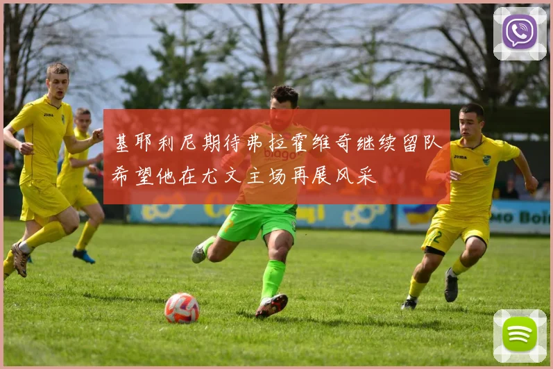 基耶利尼期待弗拉霍维奇继续留队希望他在尤文主场再展风采